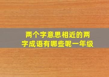 两个字意思相近的两字成语有哪些呢一年级