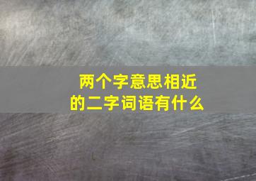 两个字意思相近的二字词语有什么