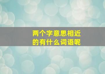 两个字意思相近的有什么词语呢