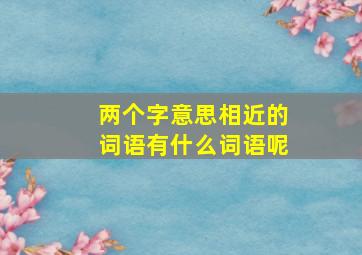 两个字意思相近的词语有什么词语呢