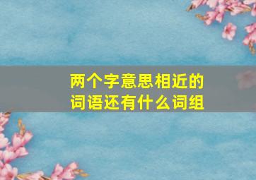 两个字意思相近的词语还有什么词组