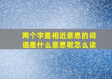 两个字是相近意思的词语是什么意思呢怎么读