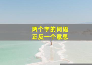 两个字的词语正反一个意思