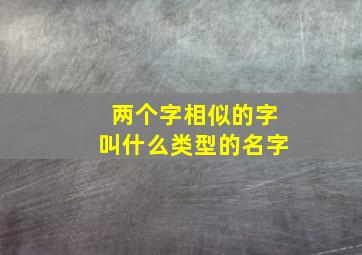 两个字相似的字叫什么类型的名字