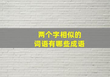 两个字相似的词语有哪些成语