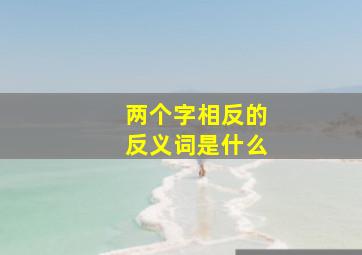 两个字相反的反义词是什么