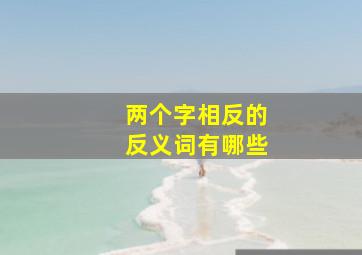 两个字相反的反义词有哪些