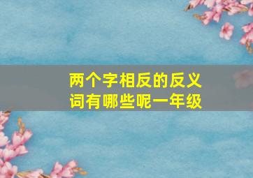 两个字相反的反义词有哪些呢一年级