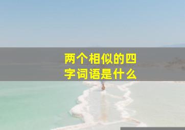 两个相似的四字词语是什么