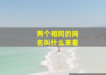 两个相同的网名叫什么来着