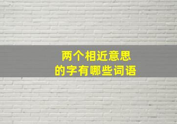 两个相近意思的字有哪些词语