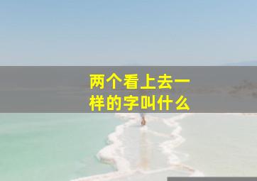 两个看上去一样的字叫什么