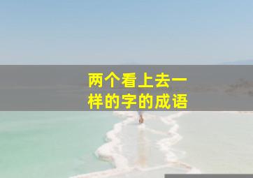 两个看上去一样的字的成语