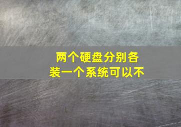 两个硬盘分别各装一个系统可以不