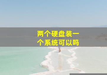 两个硬盘装一个系统可以吗