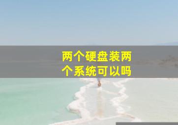 两个硬盘装两个系统可以吗