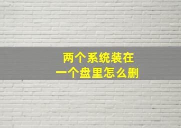 两个系统装在一个盘里怎么删