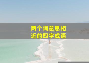 两个词意思相近的四字成语