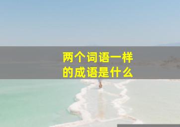 两个词语一样的成语是什么