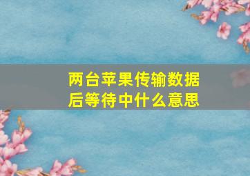 两台苹果传输数据后等待中什么意思