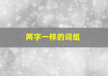 两字一样的词组