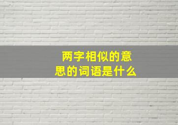 两字相似的意思的词语是什么