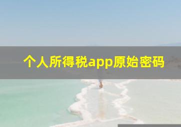 个人所得税app原始密码