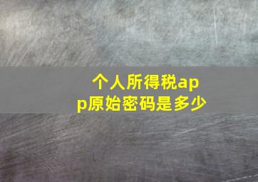 个人所得税app原始密码是多少