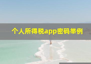 个人所得税app密码举例