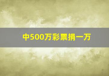 中500万彩票捐一万