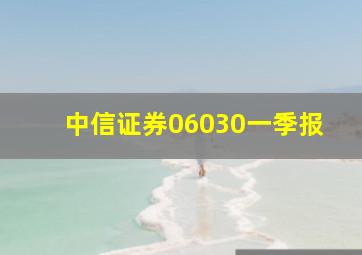 中信证券06030一季报