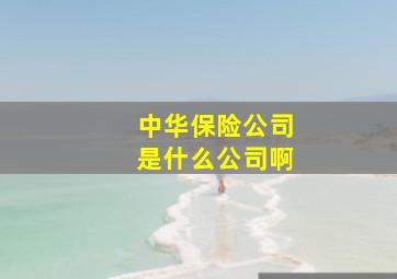 中华保险公司是什么公司啊