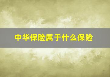 中华保险属于什么保险