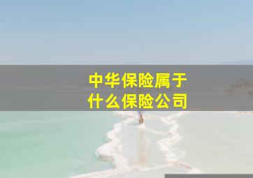 中华保险属于什么保险公司