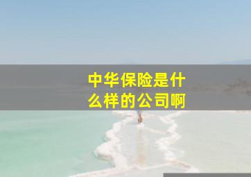 中华保险是什么样的公司啊