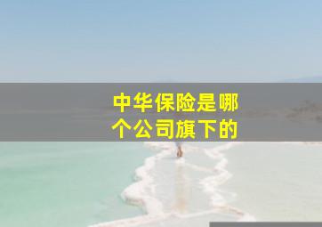 中华保险是哪个公司旗下的