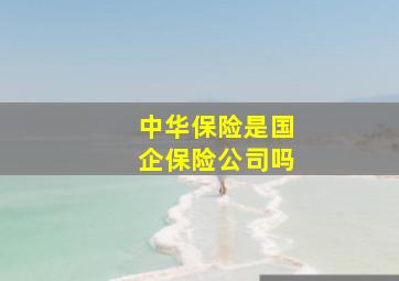 中华保险是国企保险公司吗