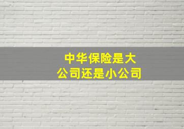 中华保险是大公司还是小公司