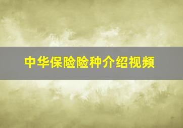 中华保险险种介绍视频