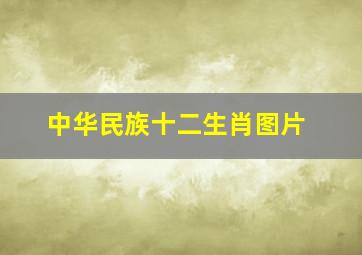 中华民族十二生肖图片