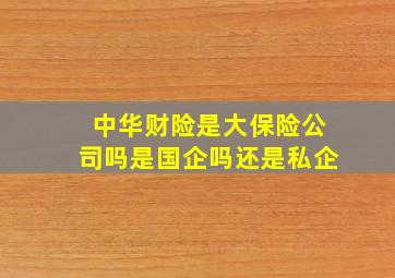 中华财险是大保险公司吗是国企吗还是私企