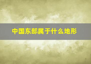 中国东部属于什么地形