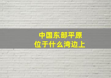 中国东部平原位于什么湾边上