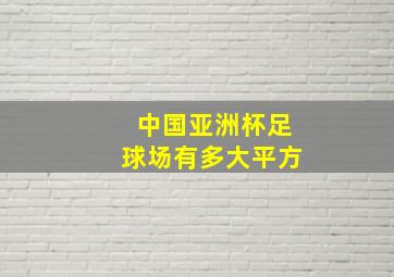 中国亚洲杯足球场有多大平方