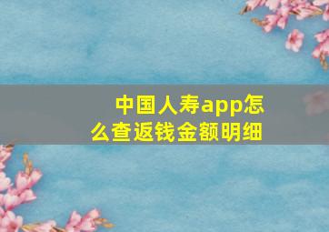 中国人寿app怎么查返钱金额明细