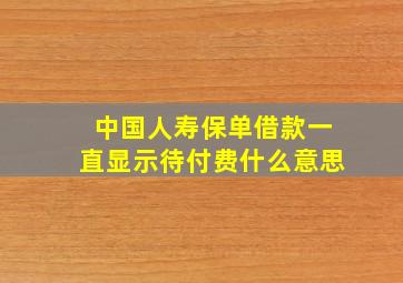 中国人寿保单借款一直显示待付费什么意思