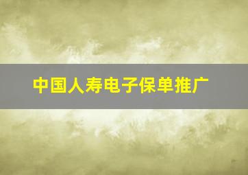 中国人寿电子保单推广