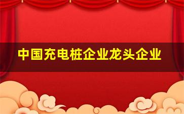 中国充电桩企业龙头企业