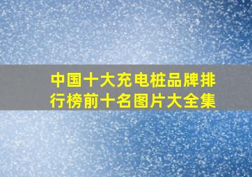 中国十大充电桩品牌排行榜前十名图片大全集