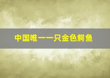 中国唯一一只金色鳄鱼